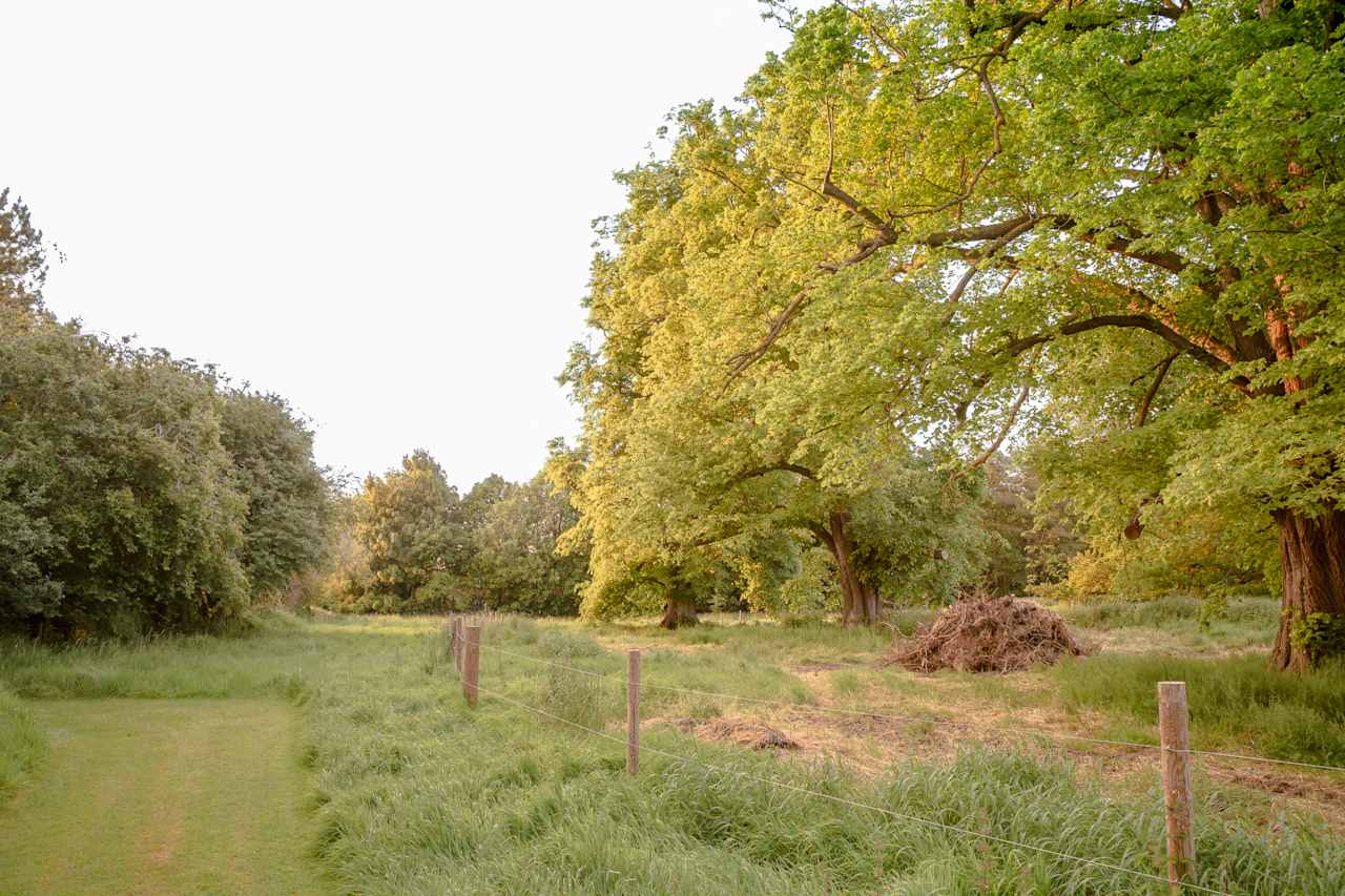 Tree lined walks and plenty of wildlife on offer at Hendred Farm Huts.