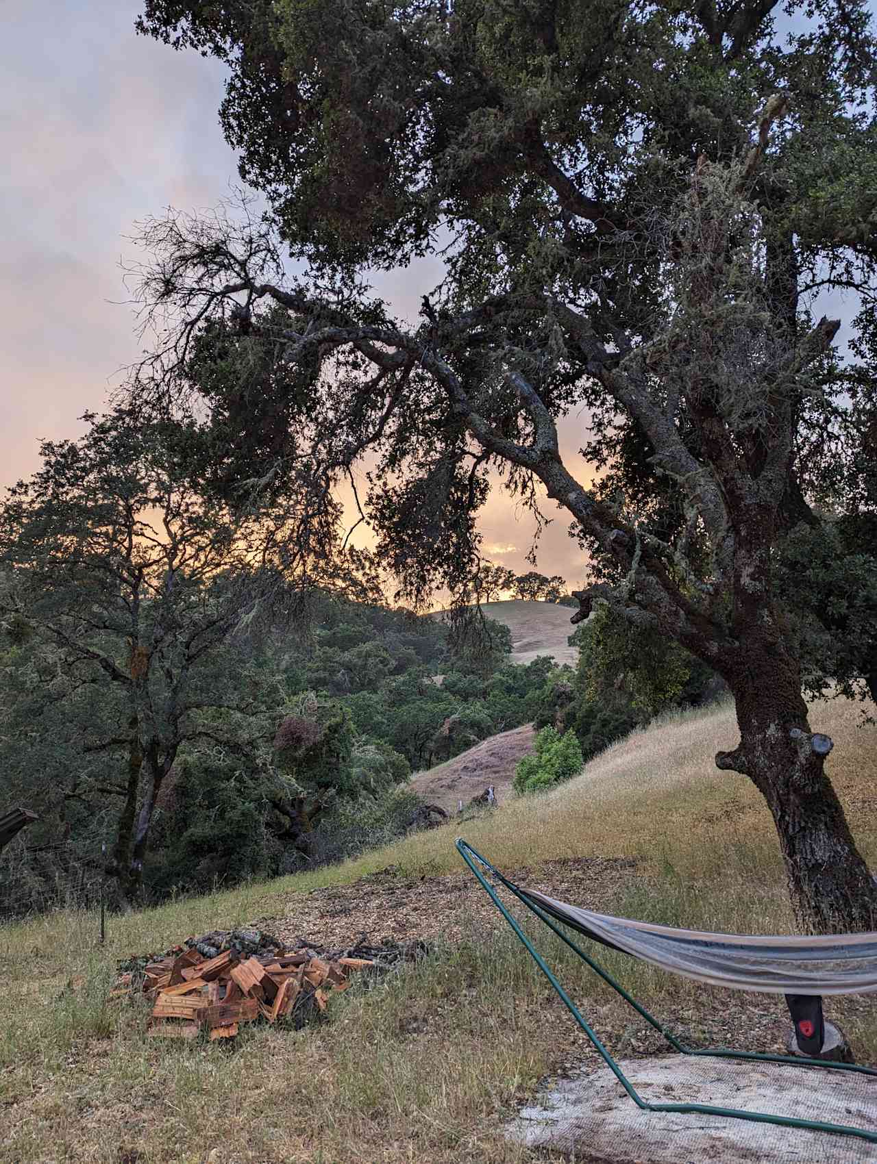 outdoor hammock