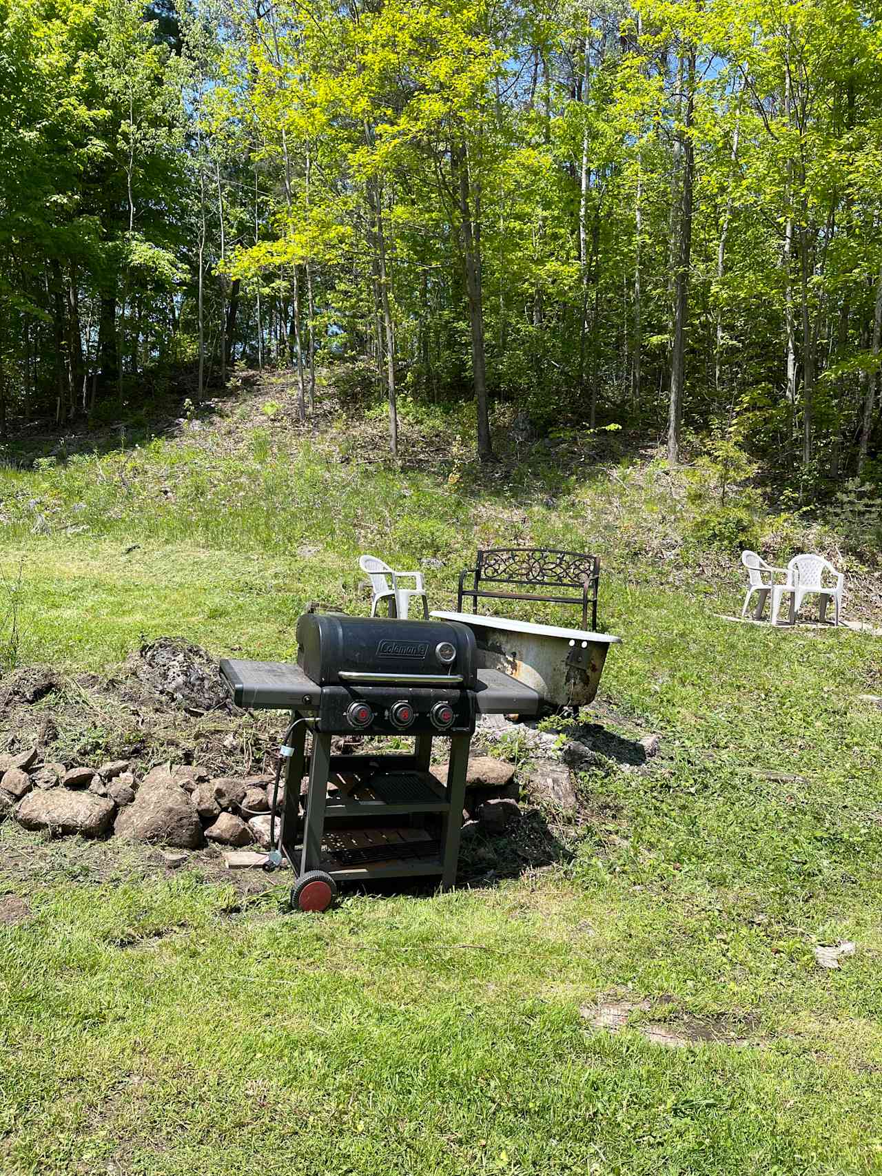 Charcoal/wood bbq