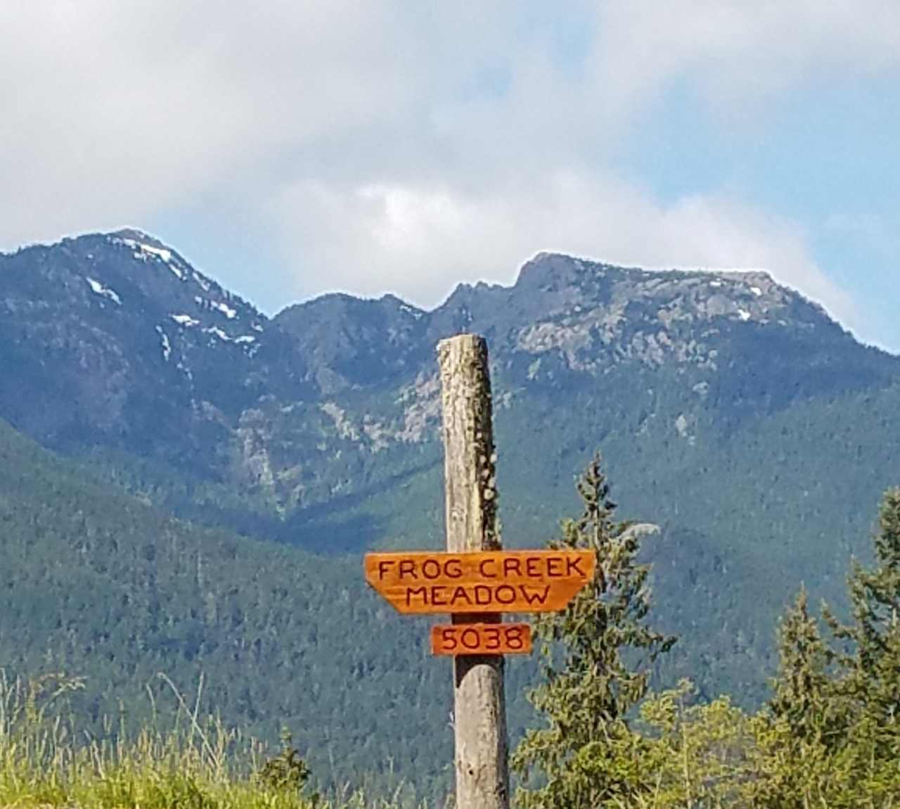 Frog Creek Meadow