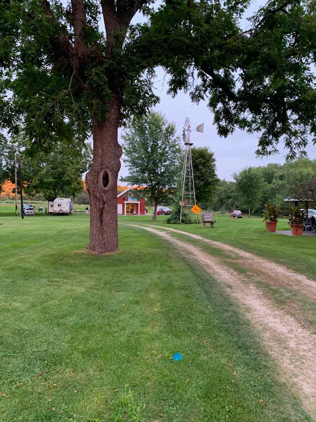 The Crib Guest Lodge is in the background with 3 camping sites to the left of the building