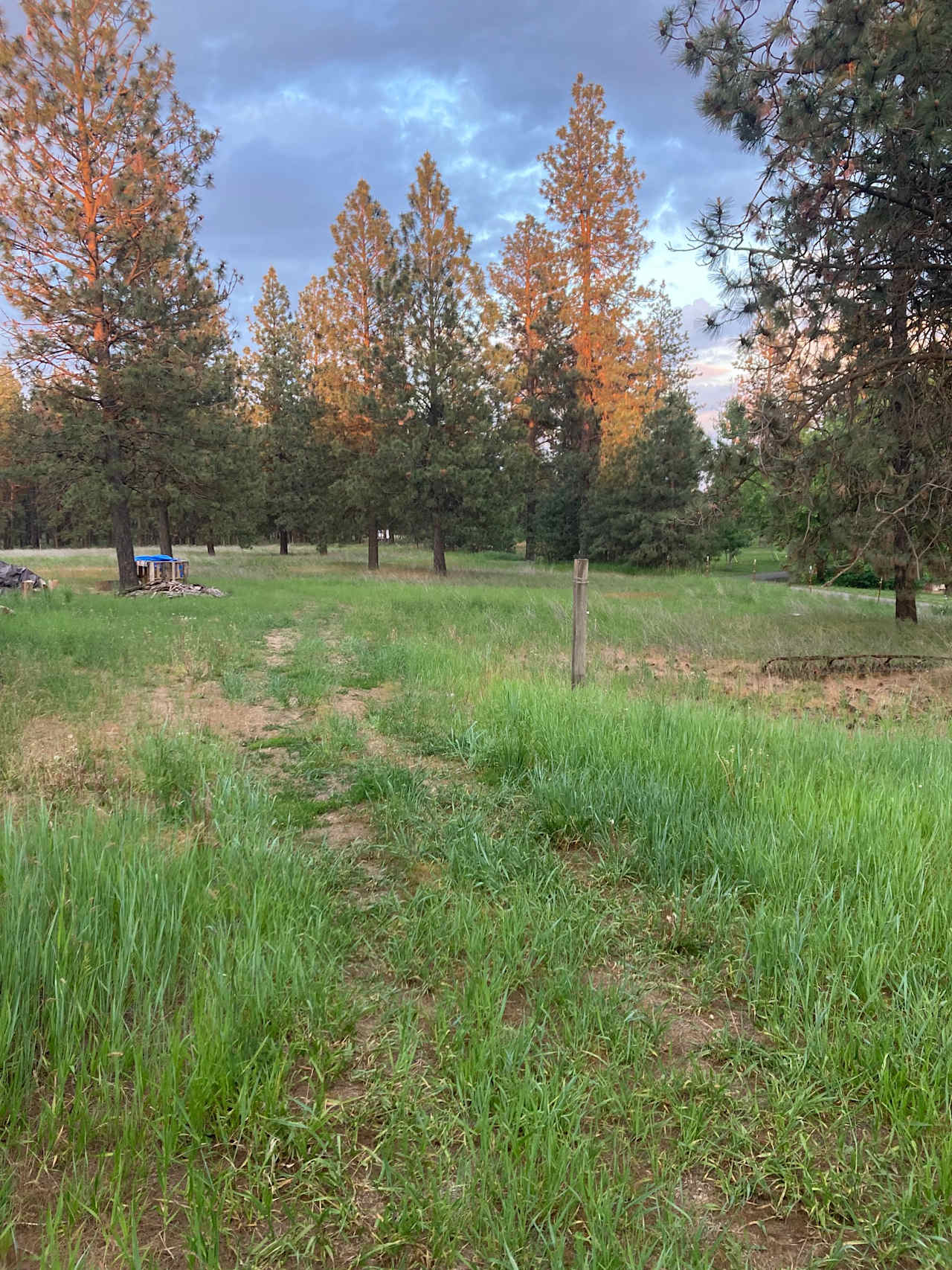 You can park your RV anywhere in the back. If you choose close to the trees we can run an extension cord to power. 