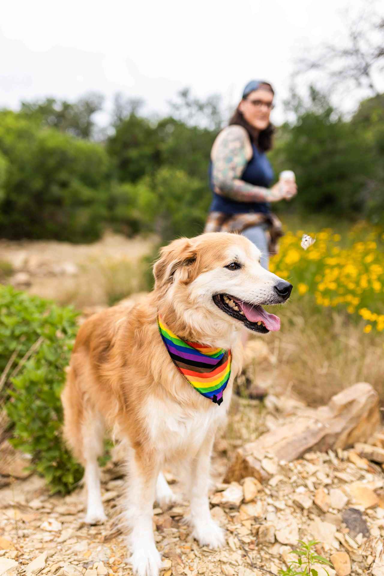 Hiking around the pond through the wildflowers with pets