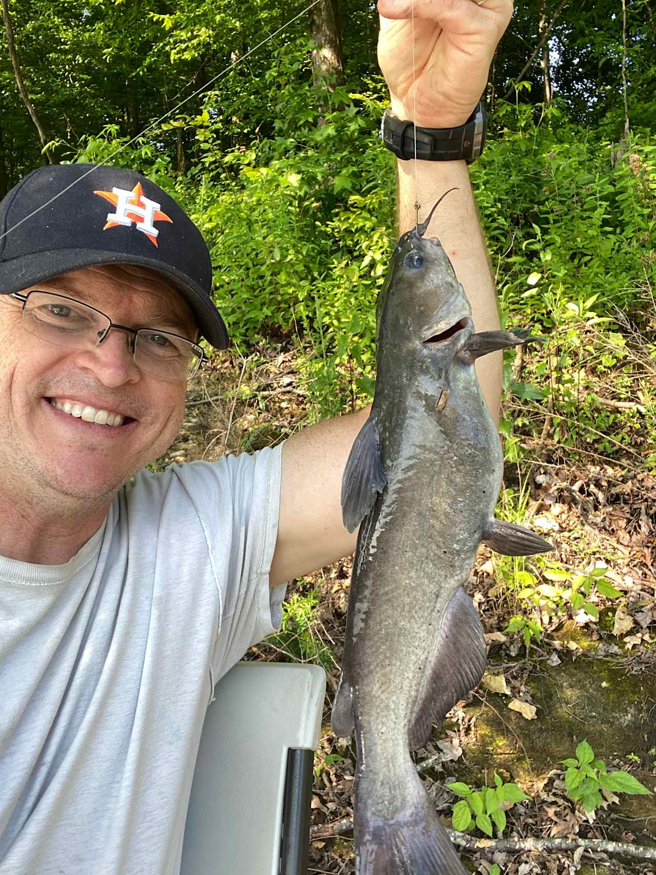 Catfish caught off the lake access