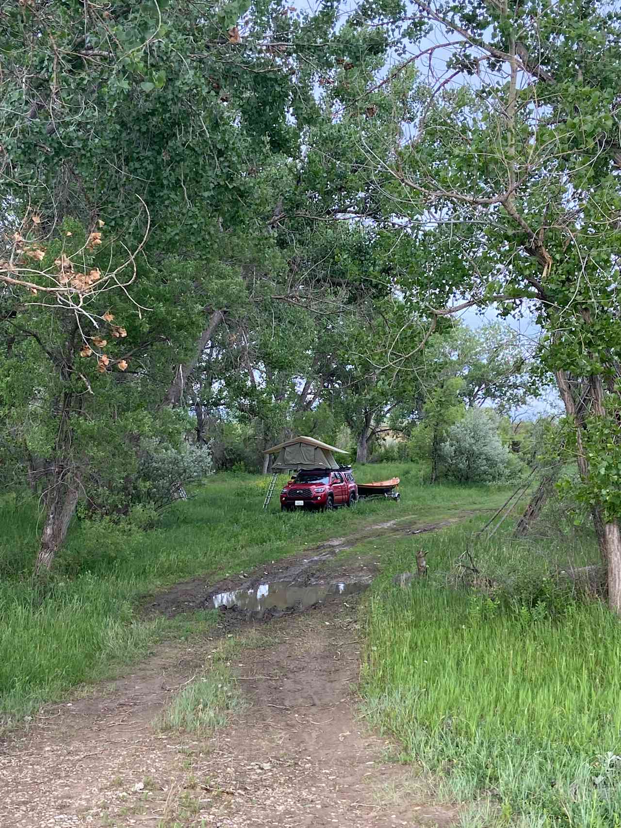 Medicine Tail Coulee Camp