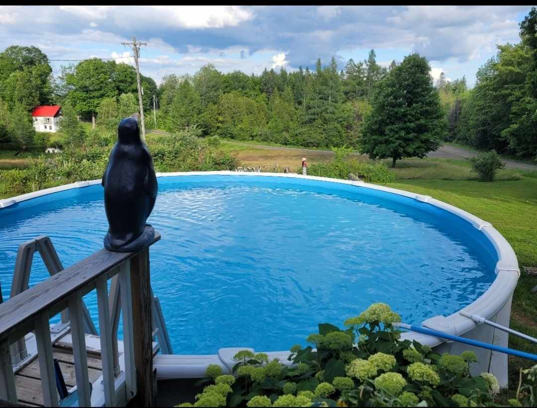 The above ground swimming pool is closer to the main house. You're welcome to use it. Towels will be provided on the deck. Please follow all pool rules. There are floats and life jackets if needed. Help yourself to the skimmer to get off any bugs you might see. Thank you.
Soon to be added will be a screen fence to go around the top of the pool to block dirt from the dirt road from getting into the pool.