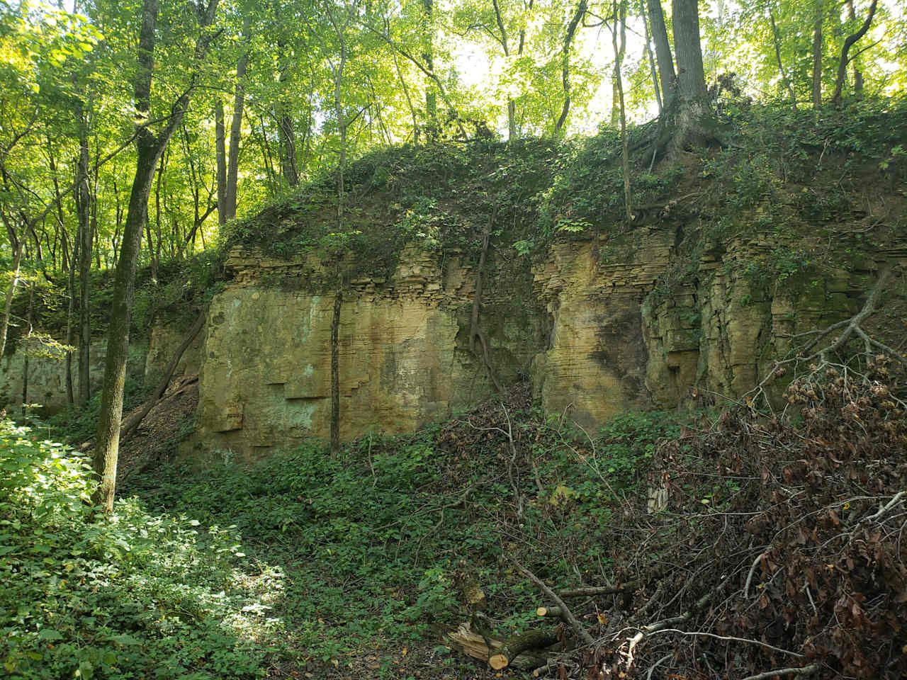 Limestone bluff full of natural colors and plant growth. Spot at the bottom to take your nature selfie.