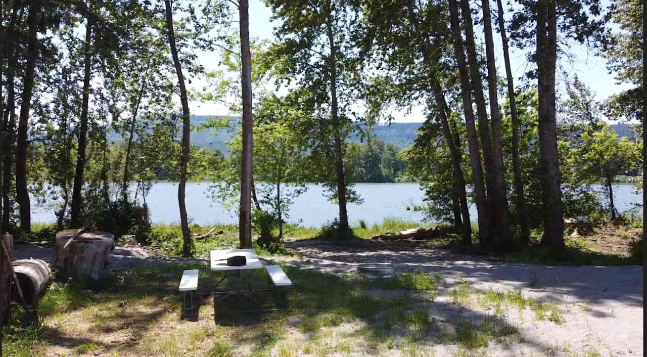 Campsite 1 on the Columbia River looking at Coffee Pot Island.