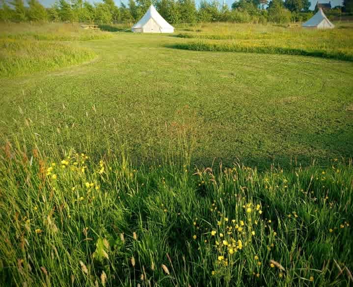 Moss Rose Campsite