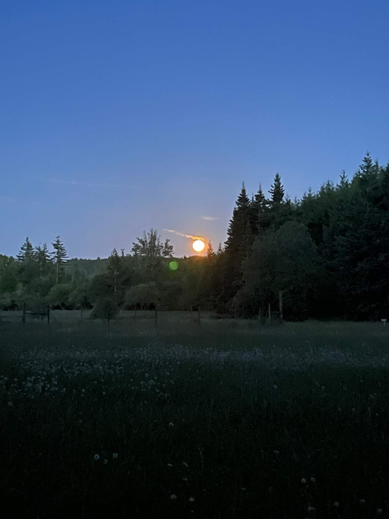 Moon rising over the hill