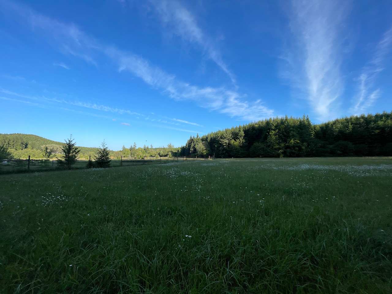 looking towards the farm from the campsite