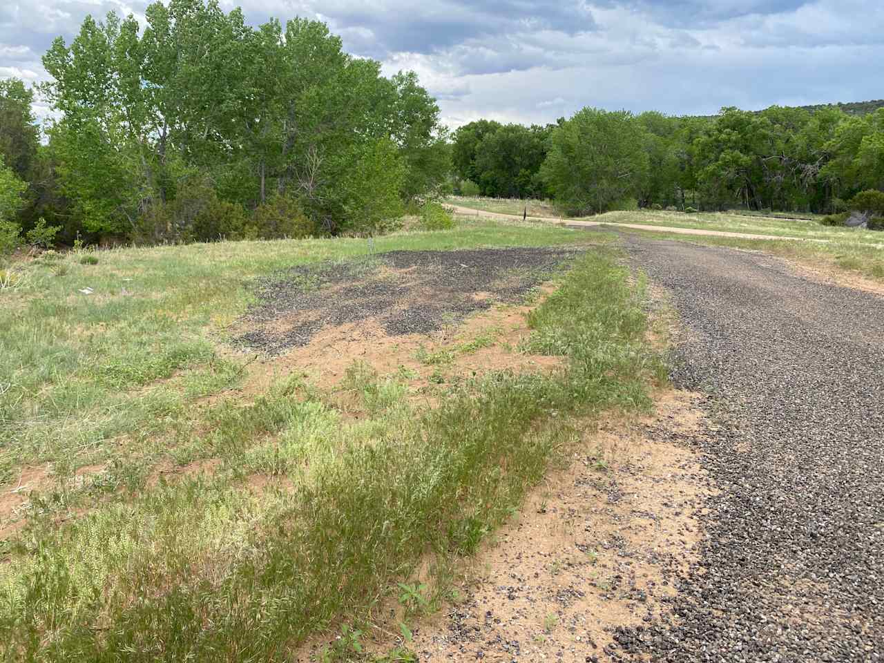 Site 3 to the left (east) after looping around the drive way and coming back down the road to back in.