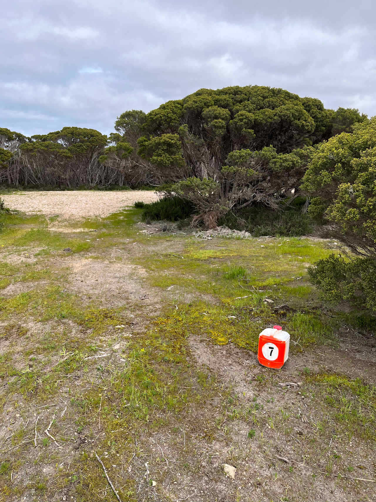 Marion Bay Bush Camping