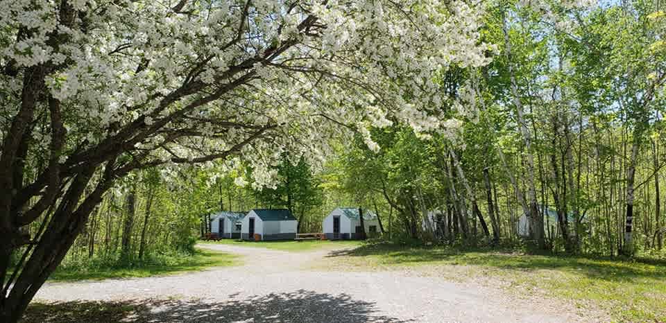 Magic Falls Campground