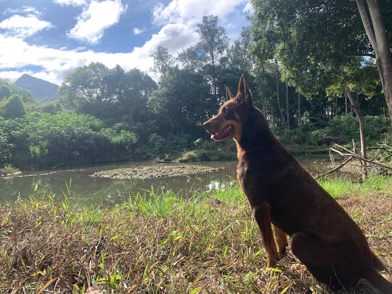 Wal chilling by one of the river spots. 