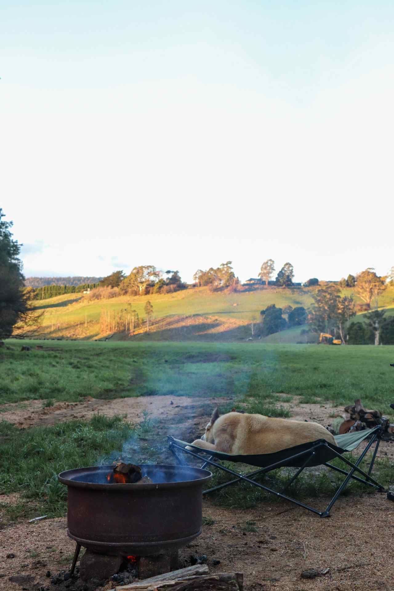 Fairview Farm Ringarooma Tasmania