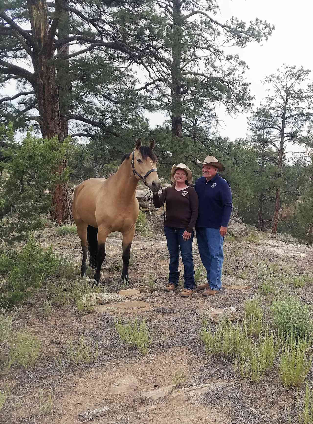 Jerry Z.’s Land