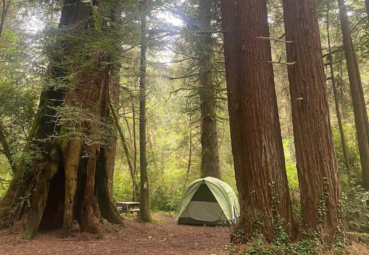 Mystic Forest Campground