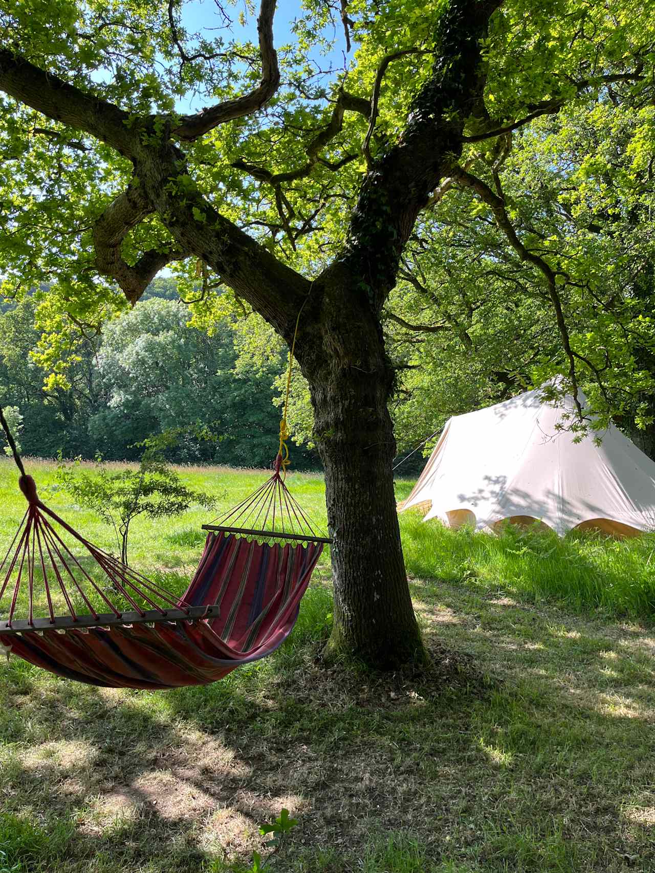 Lickham Bottom Camp