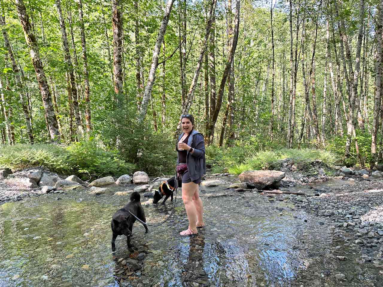 Winedown Camp at Boulder Creek