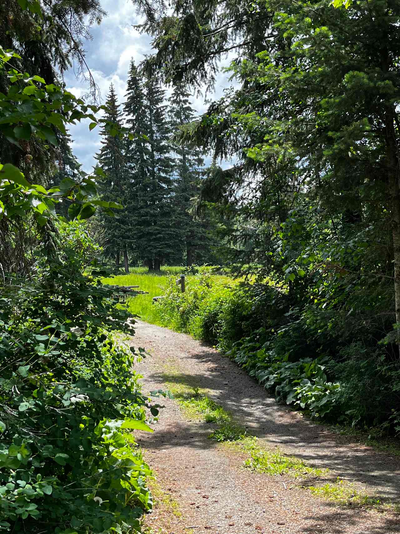 The driveway in to the property.