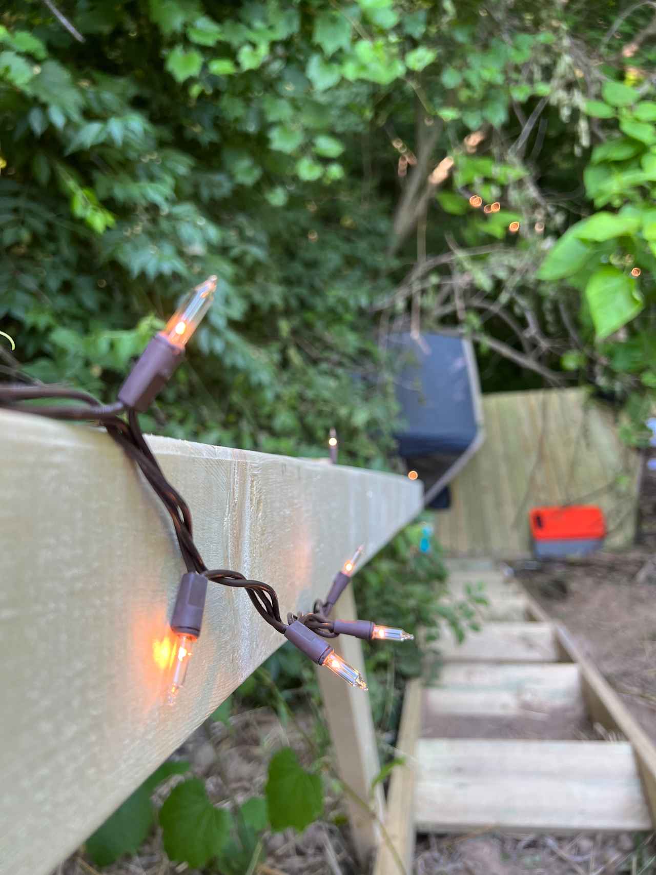 Campsite Within The Trees