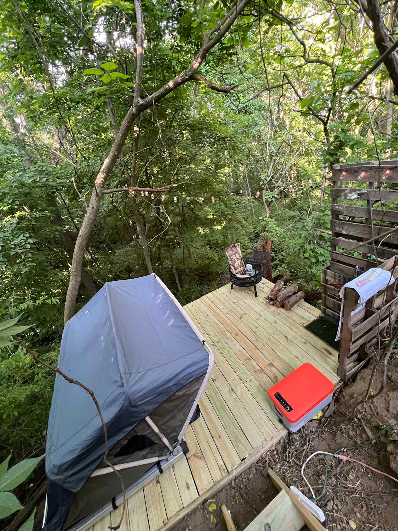 Campsite Within The Trees