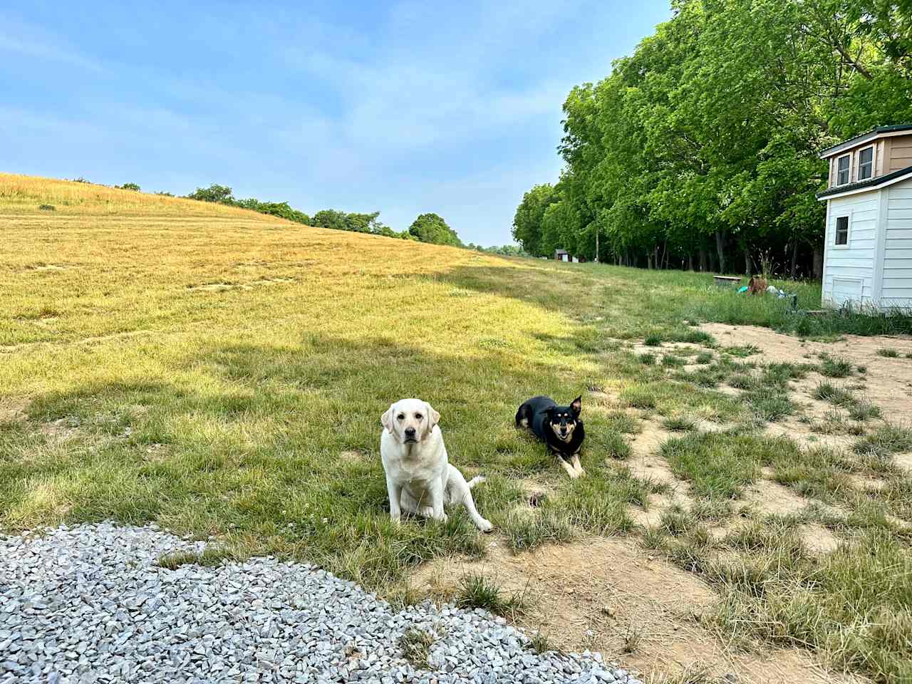 North Fork Farm