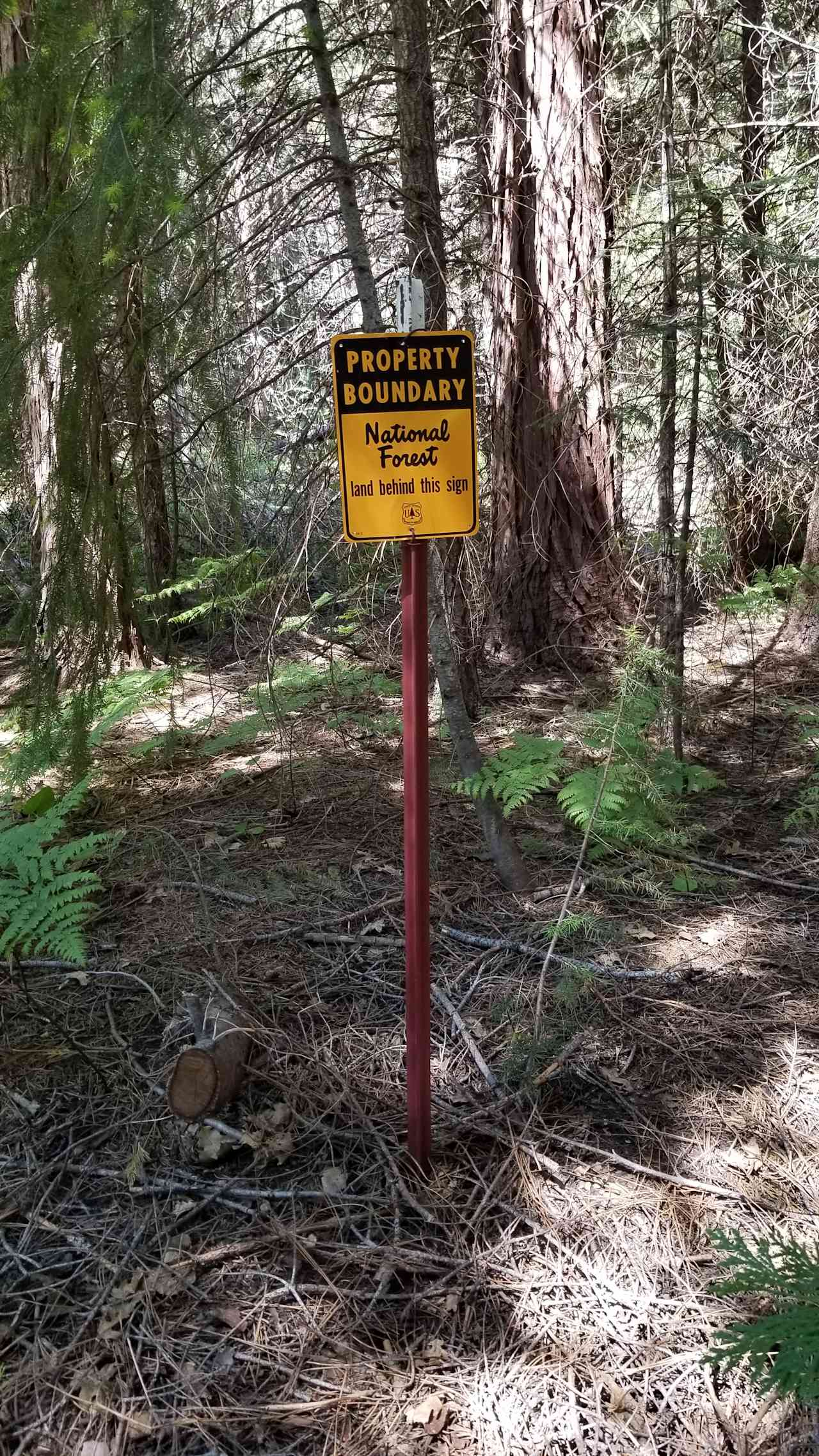 Bright Bear Camp in Tahoe NF