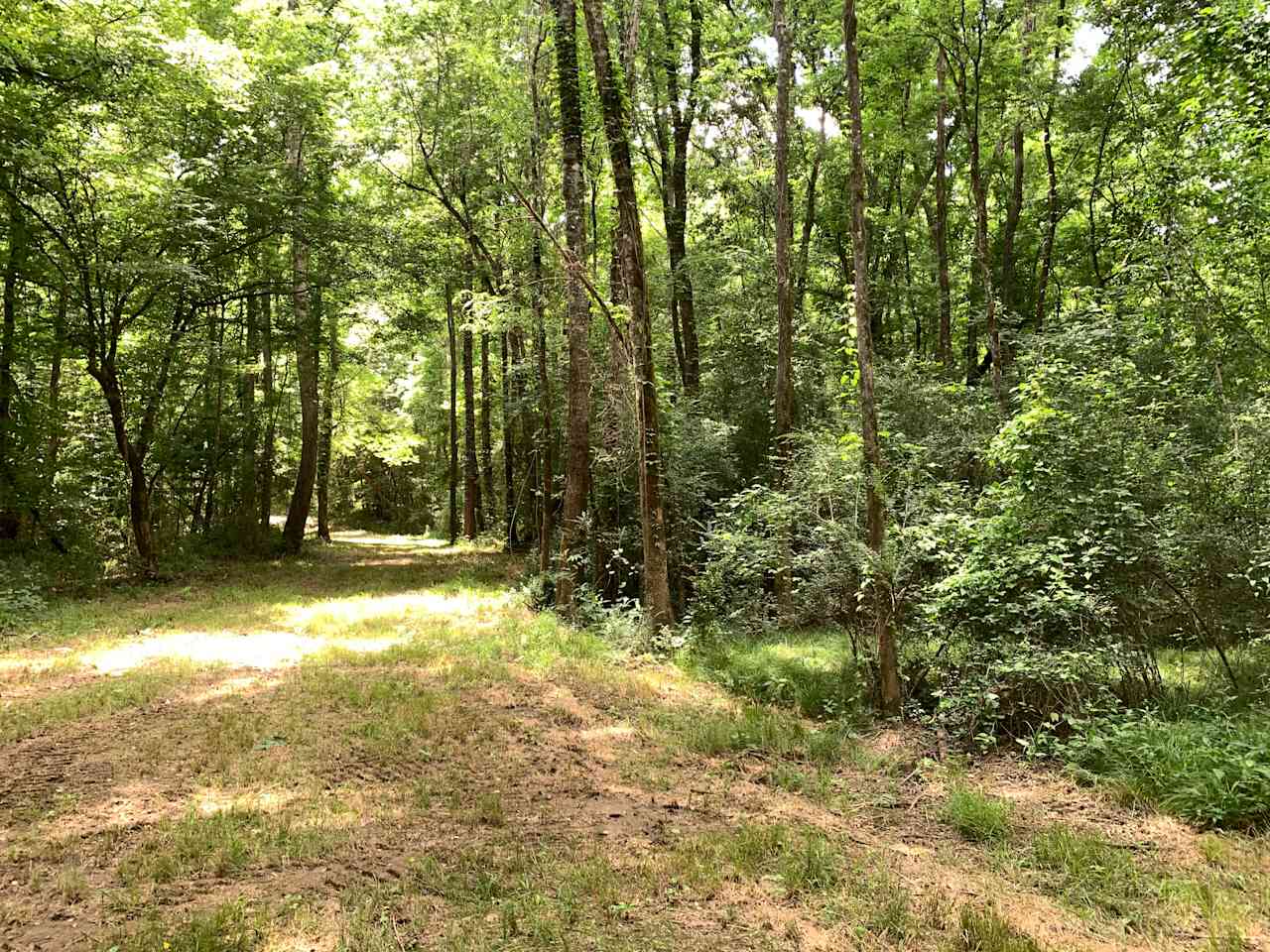 Campsite, Cahaba River Ranch