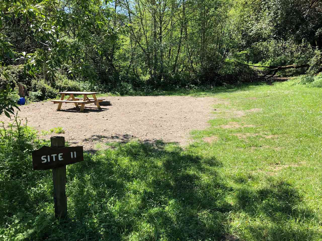 Site #11