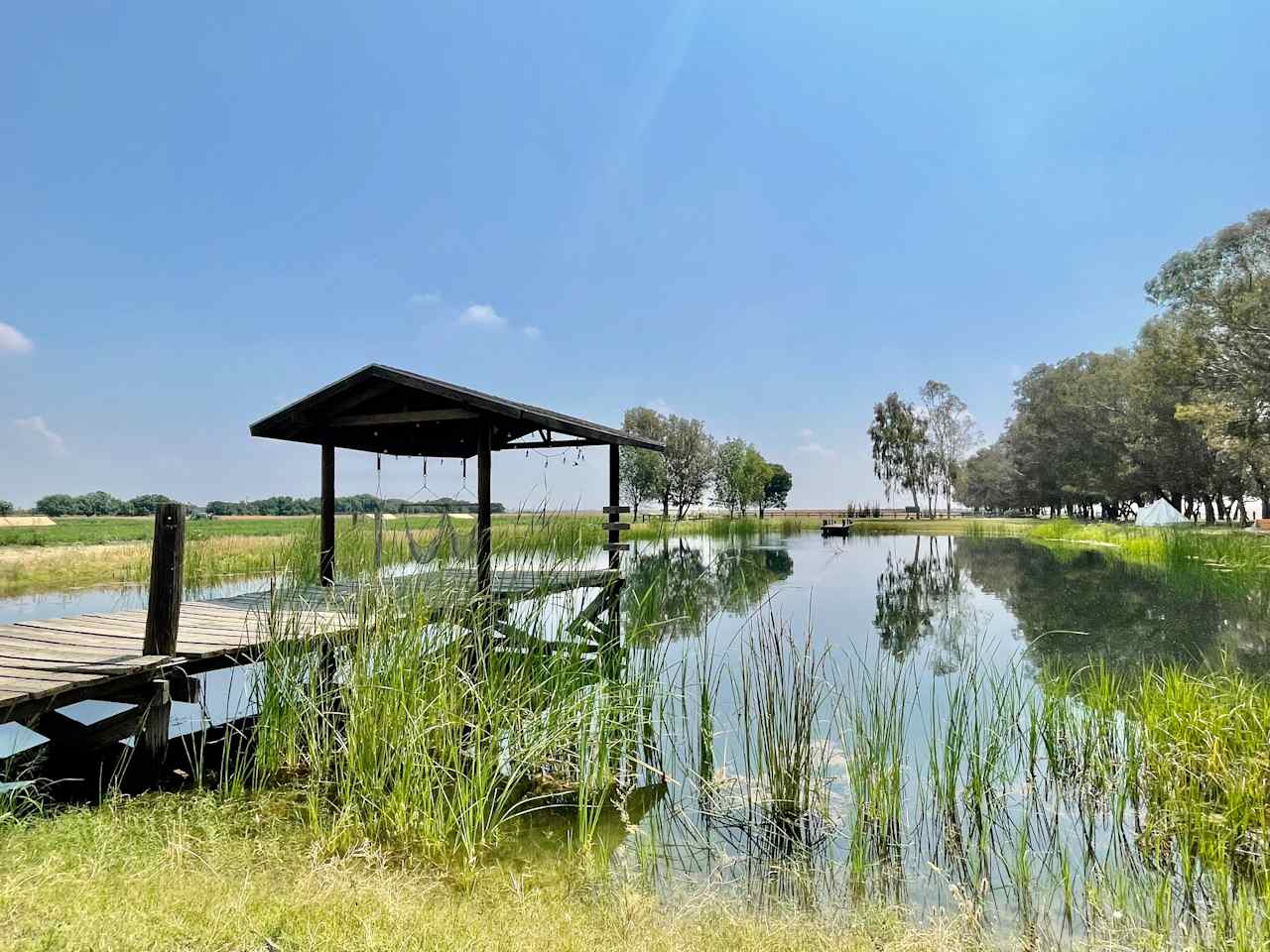 Organic Farm Outside of Bakersfield