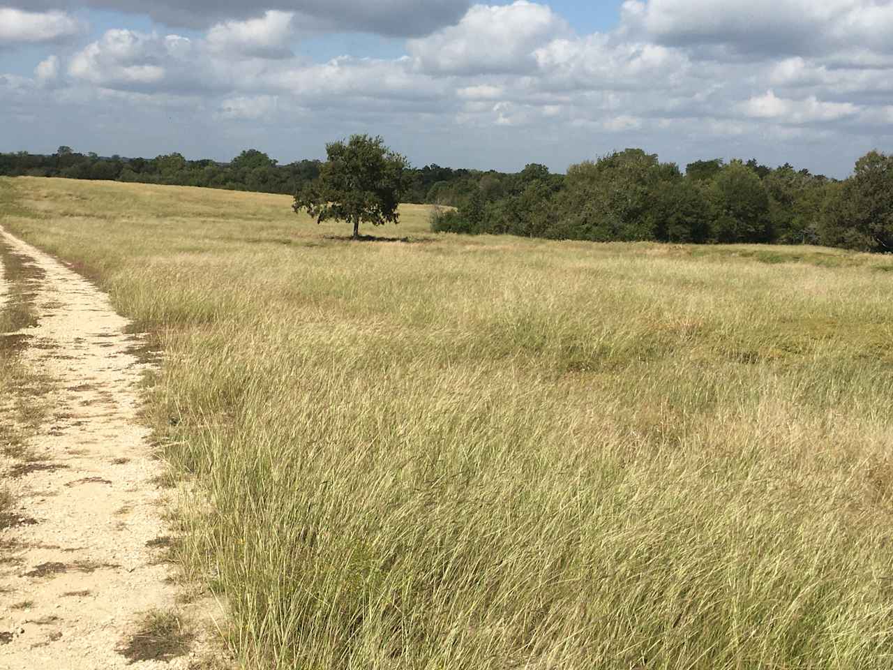 The Navasota River Ranch