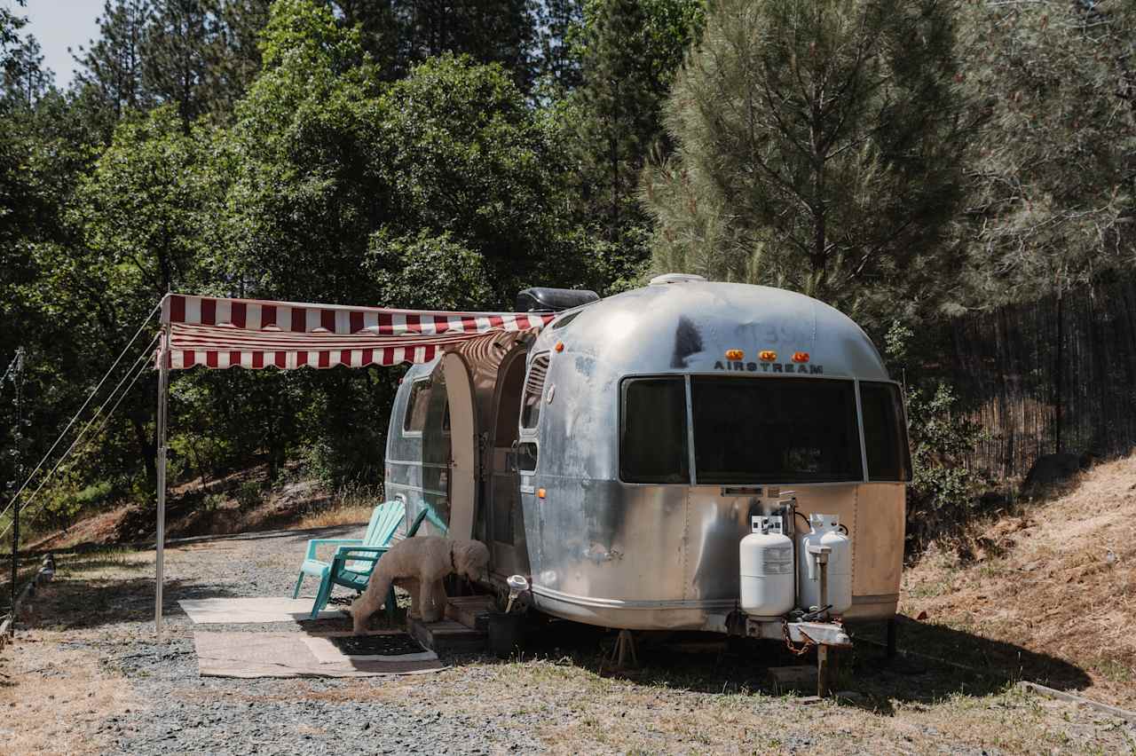 Coco The Airstream