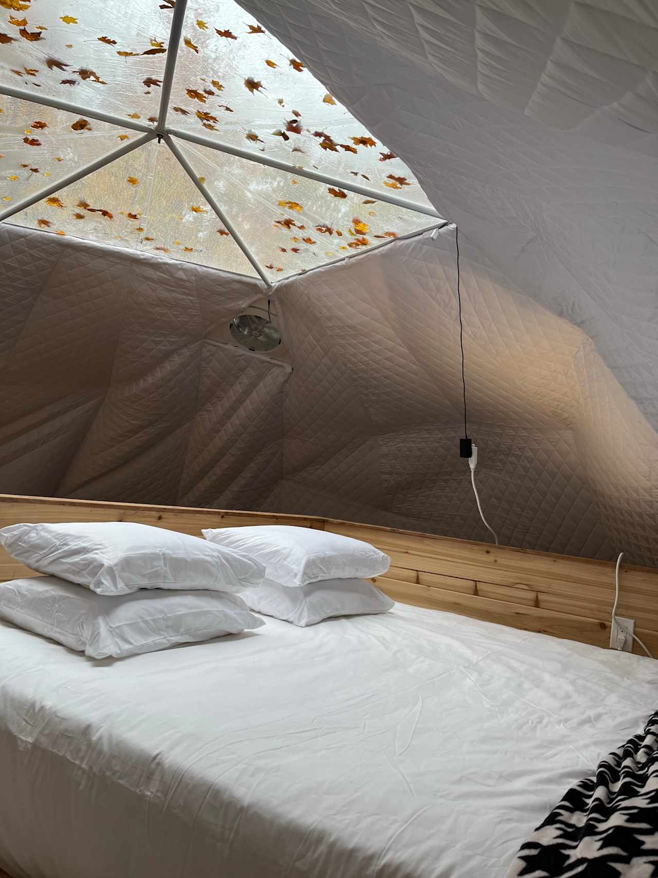 Forest Stargazing Glamping Dome