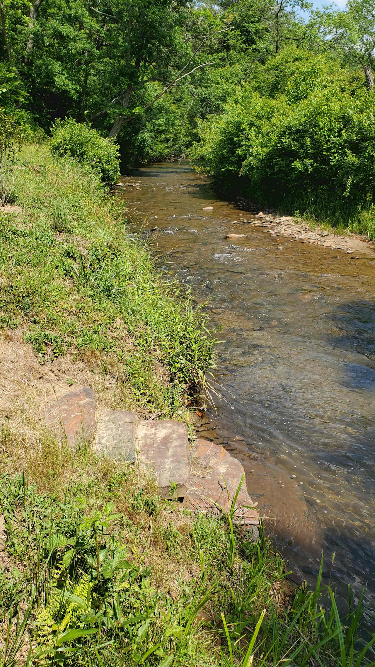 Peak Creek RV Campground