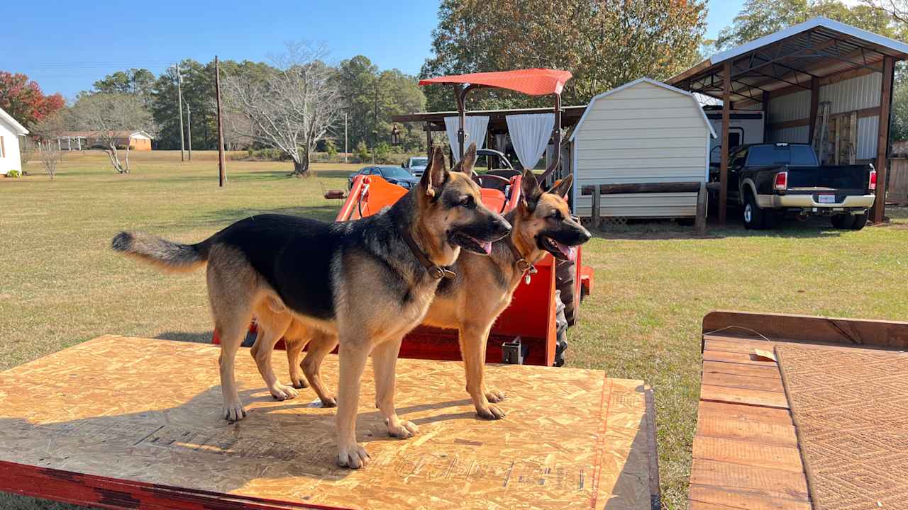 Trails End at Windsweep Farm