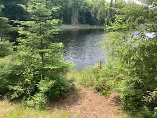 Ball Lake Tent Camping