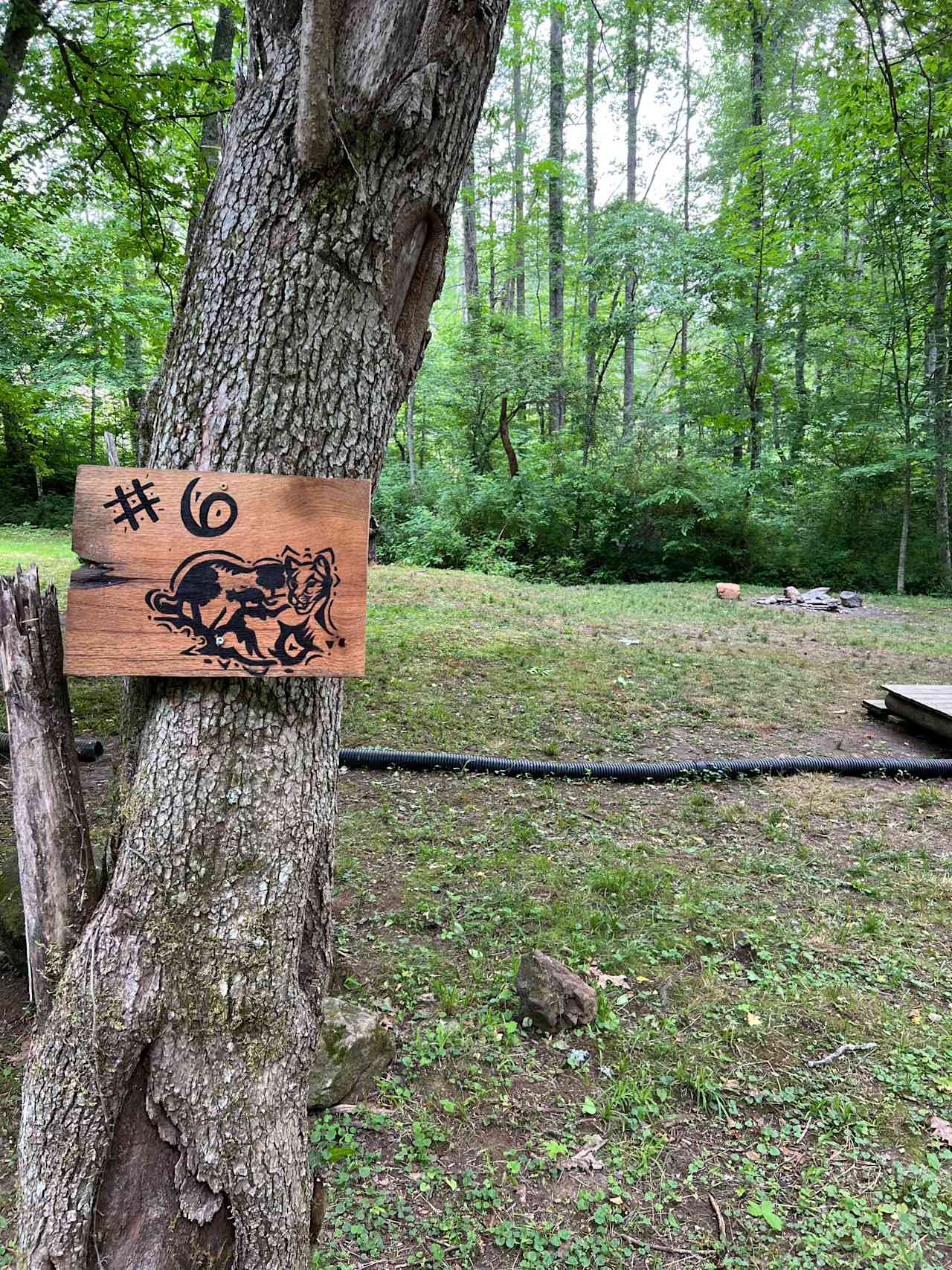 Appalachian Pond Campground