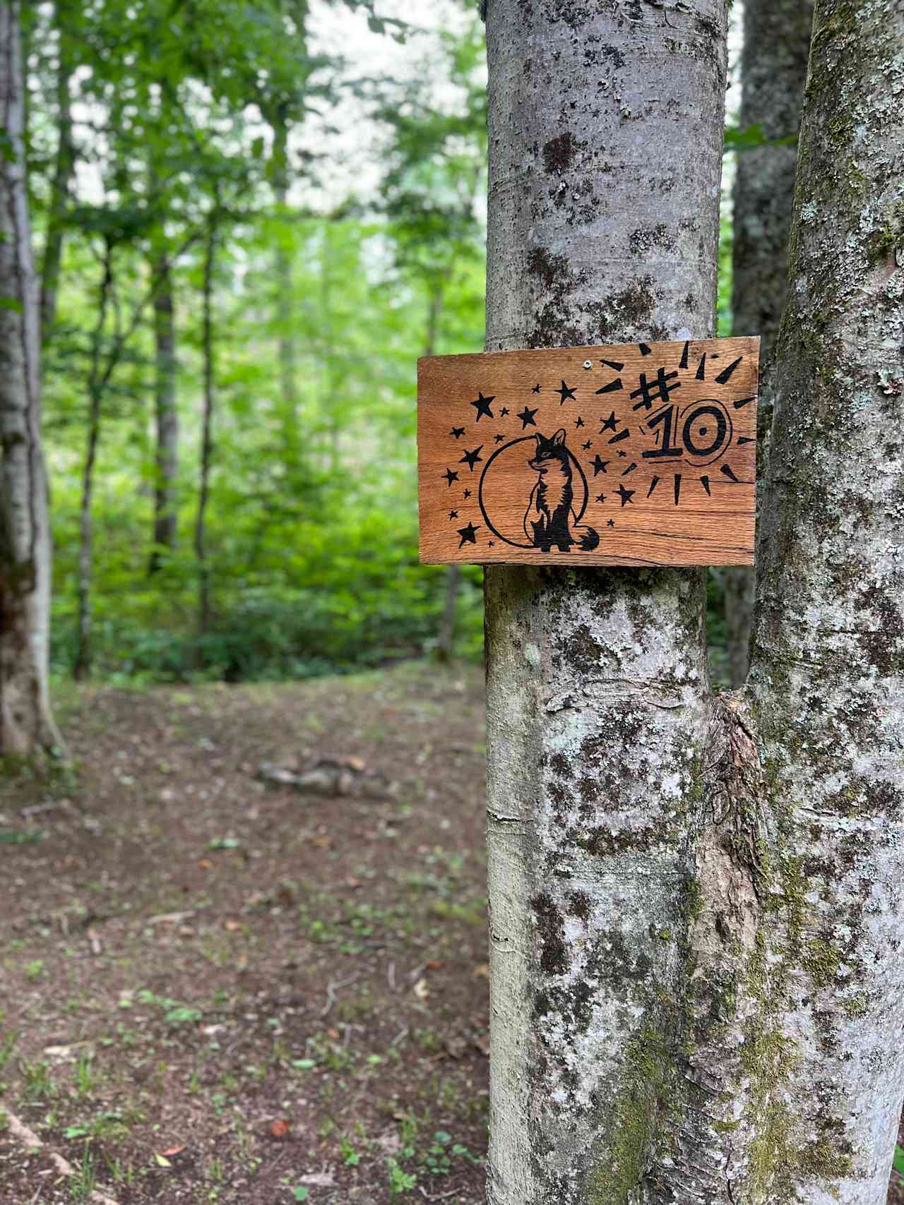Appalachian Pond Campground
