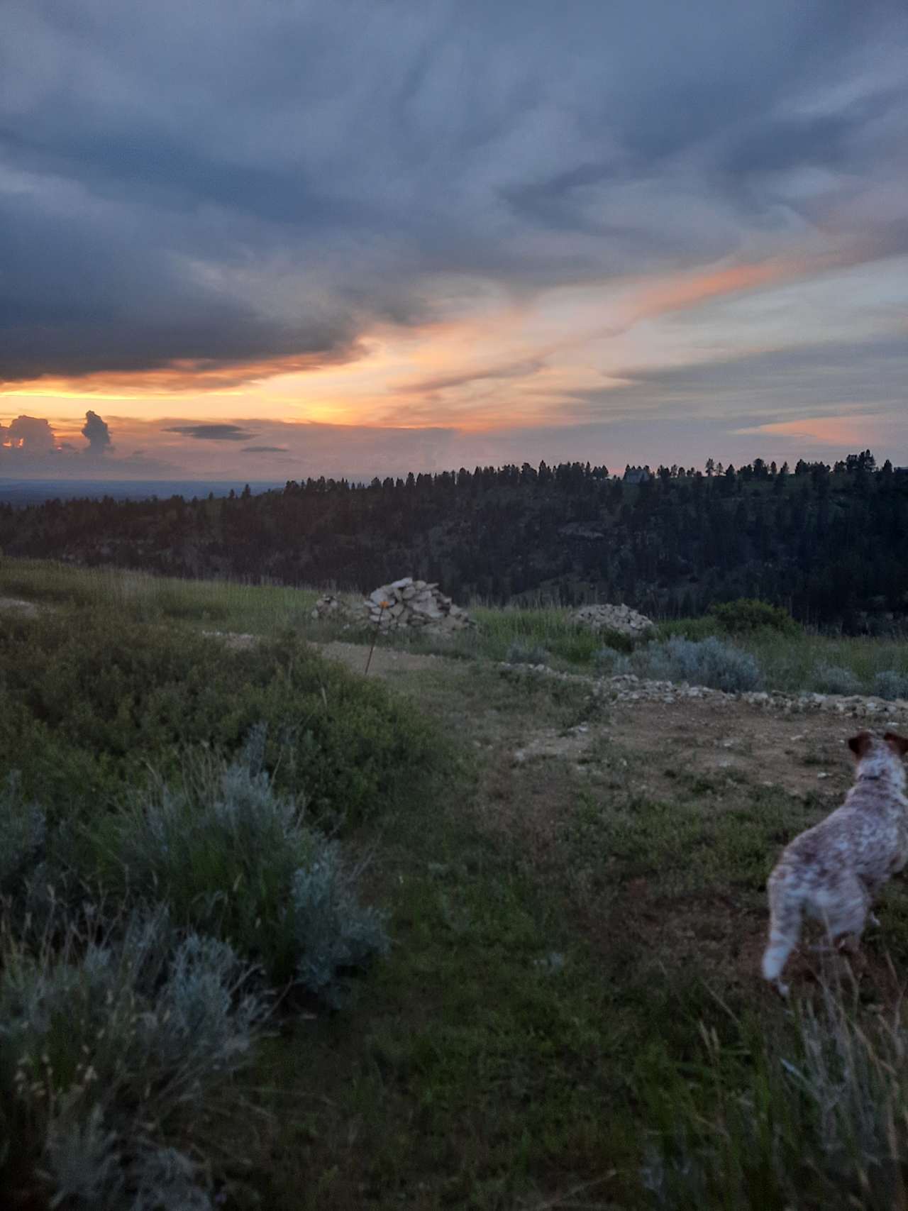 Big Sky Vistas