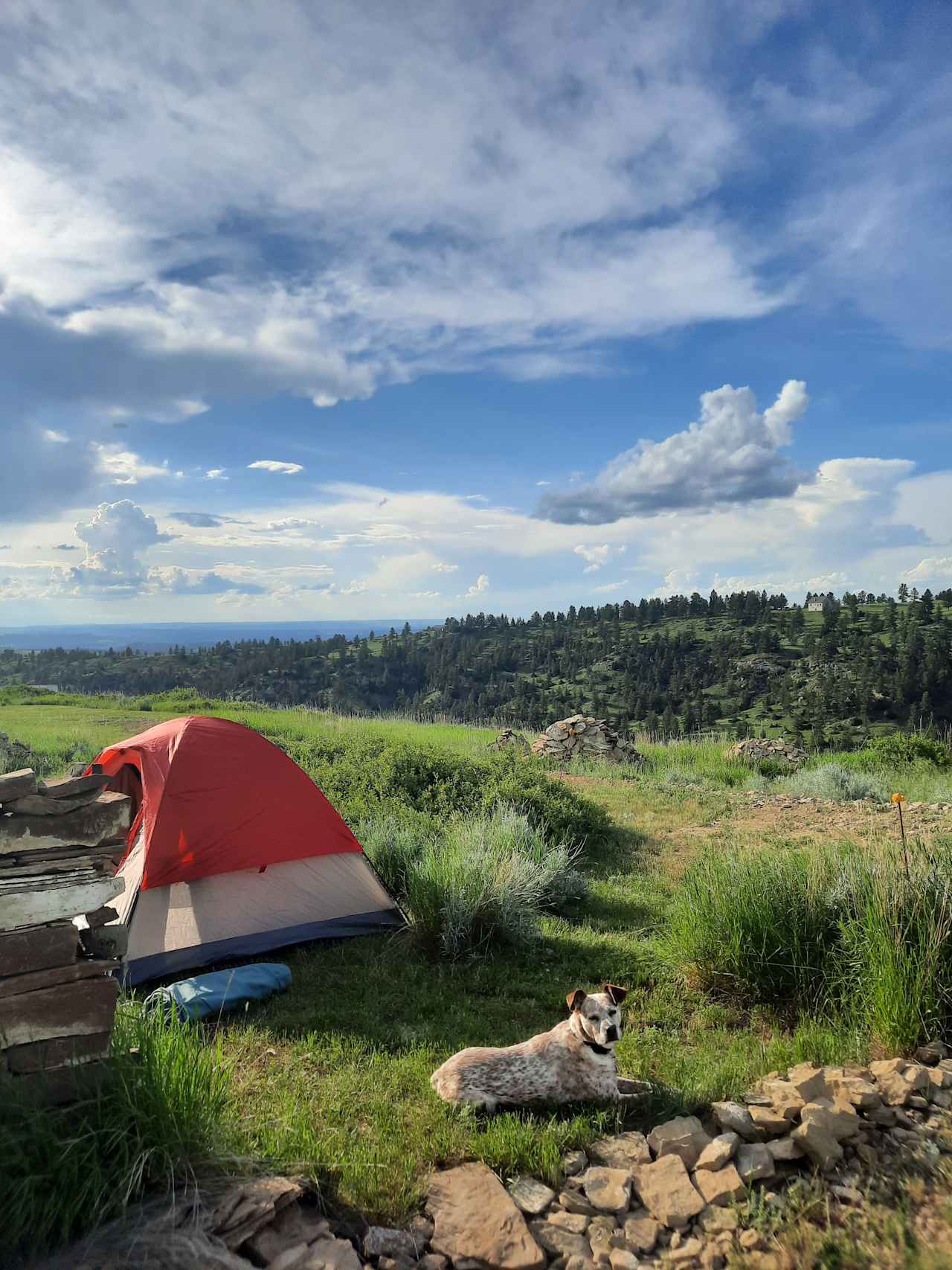 Big Sky Vistas