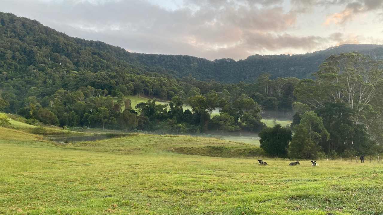 Young Macdonald’s Farm