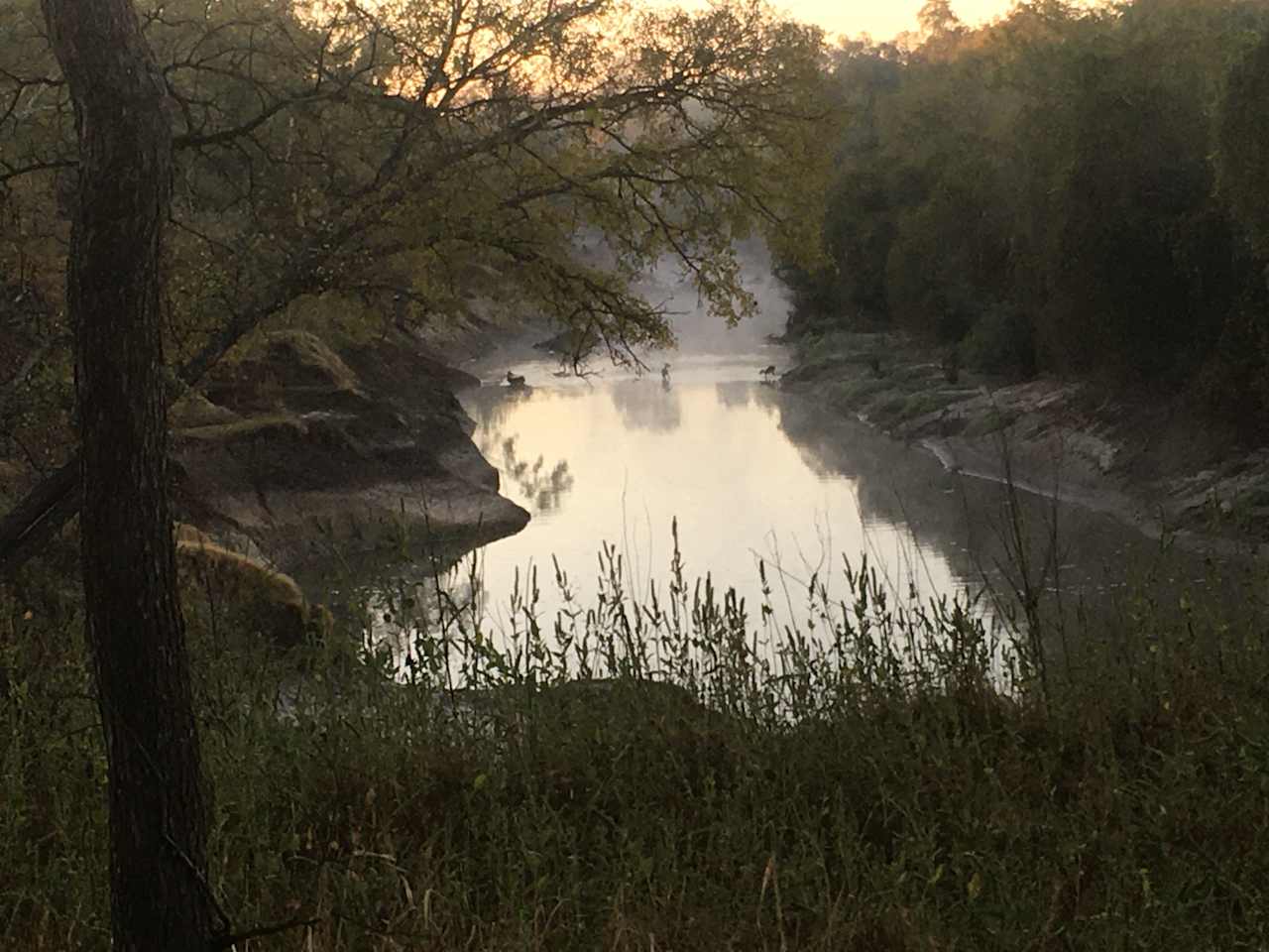 The Navasota River Ranch