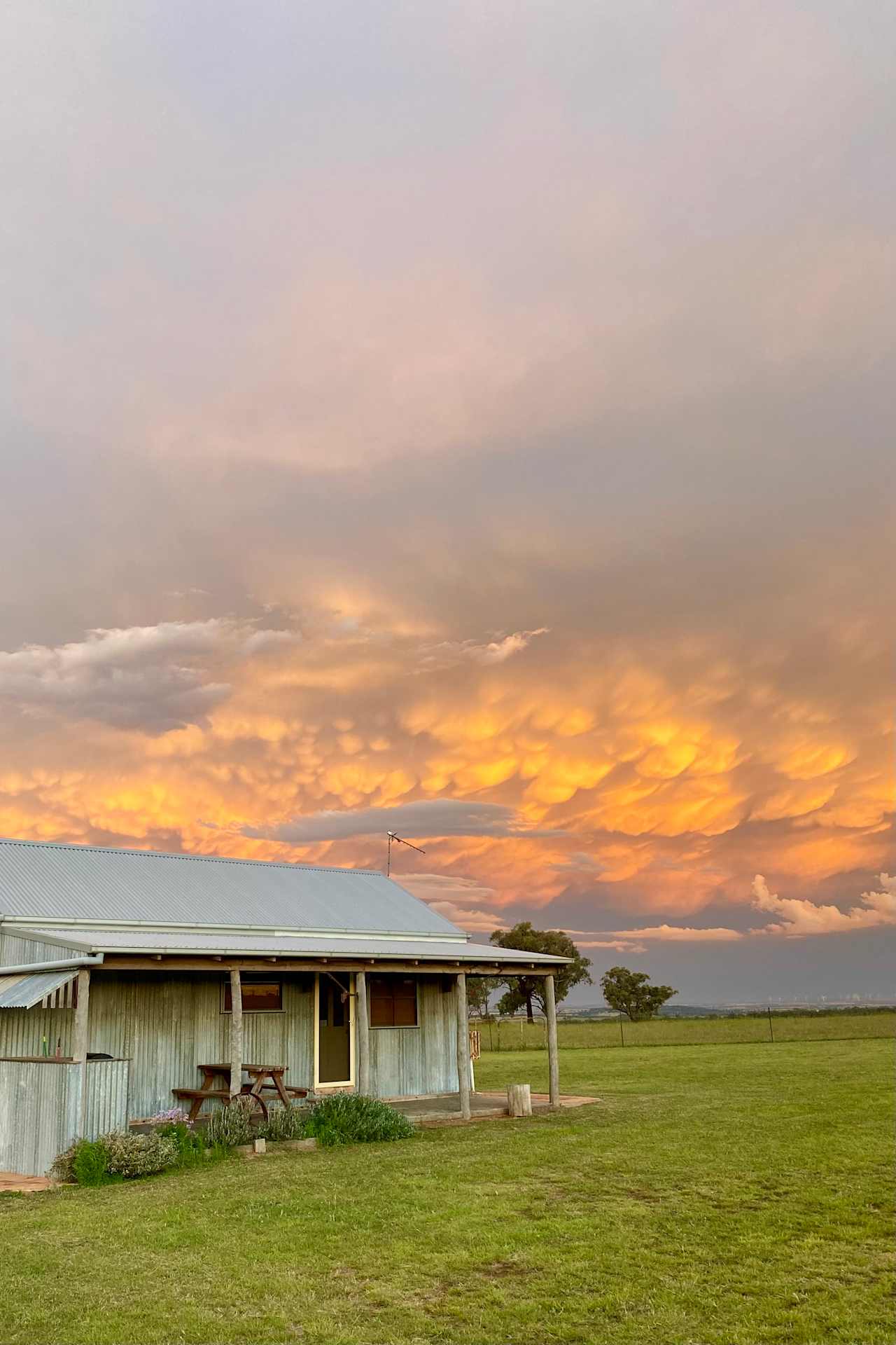 Jumbuck Shearers Hut