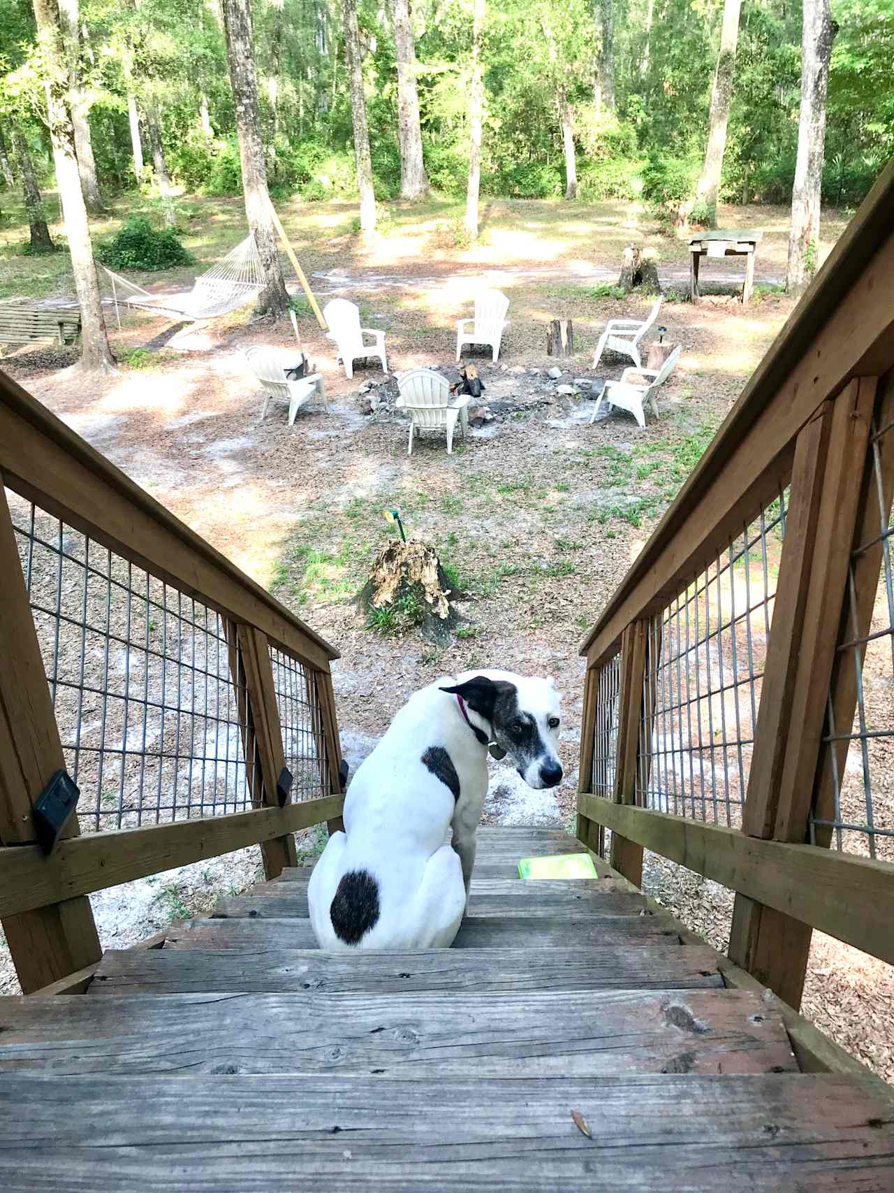 Treehouse Cabin Retreat - Florida