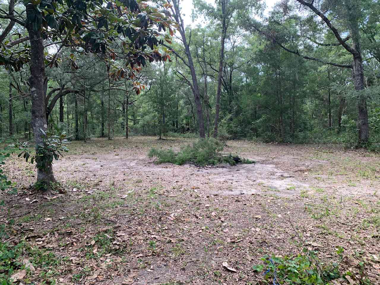 additional view of fire area 