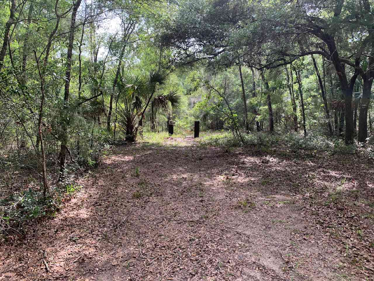 Steinhatchee Hills