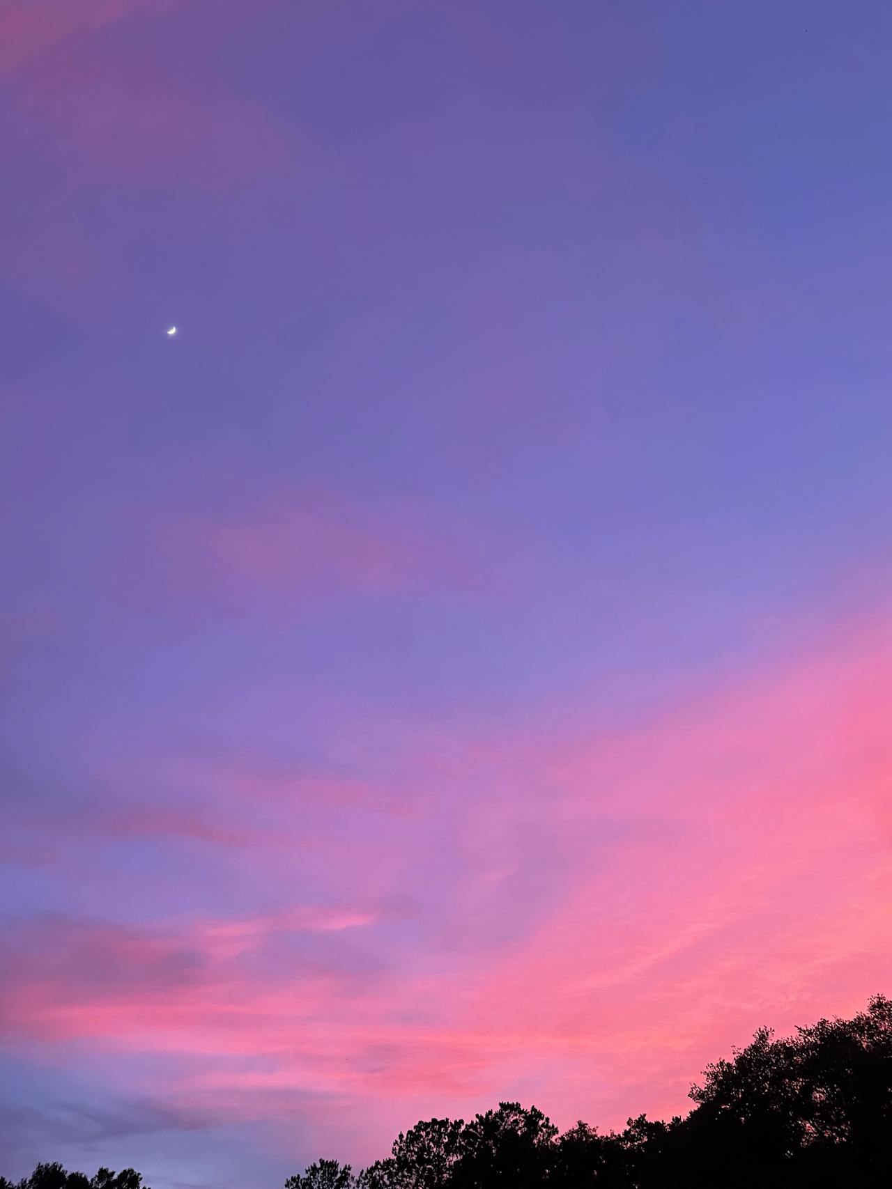 Stunning Sunsets