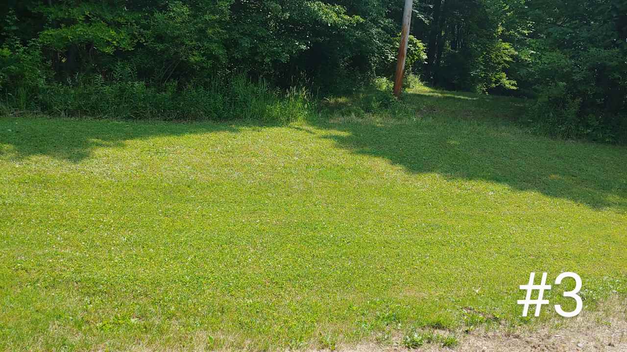 Bill S. and Nancy's property